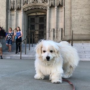 Meet your Posher, Mindy